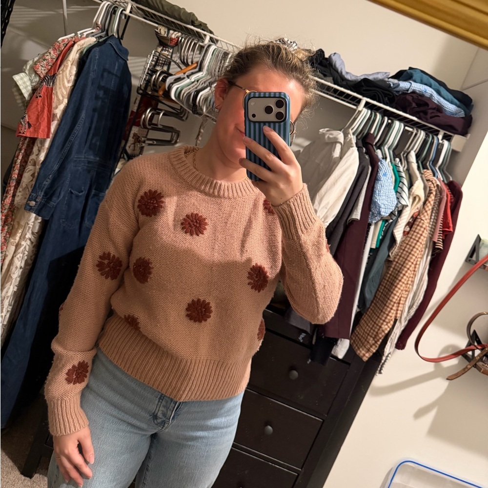 Madewell Pink and Red Crew Neck Sweater with Pom-Pom Details - Picture 3 of 7